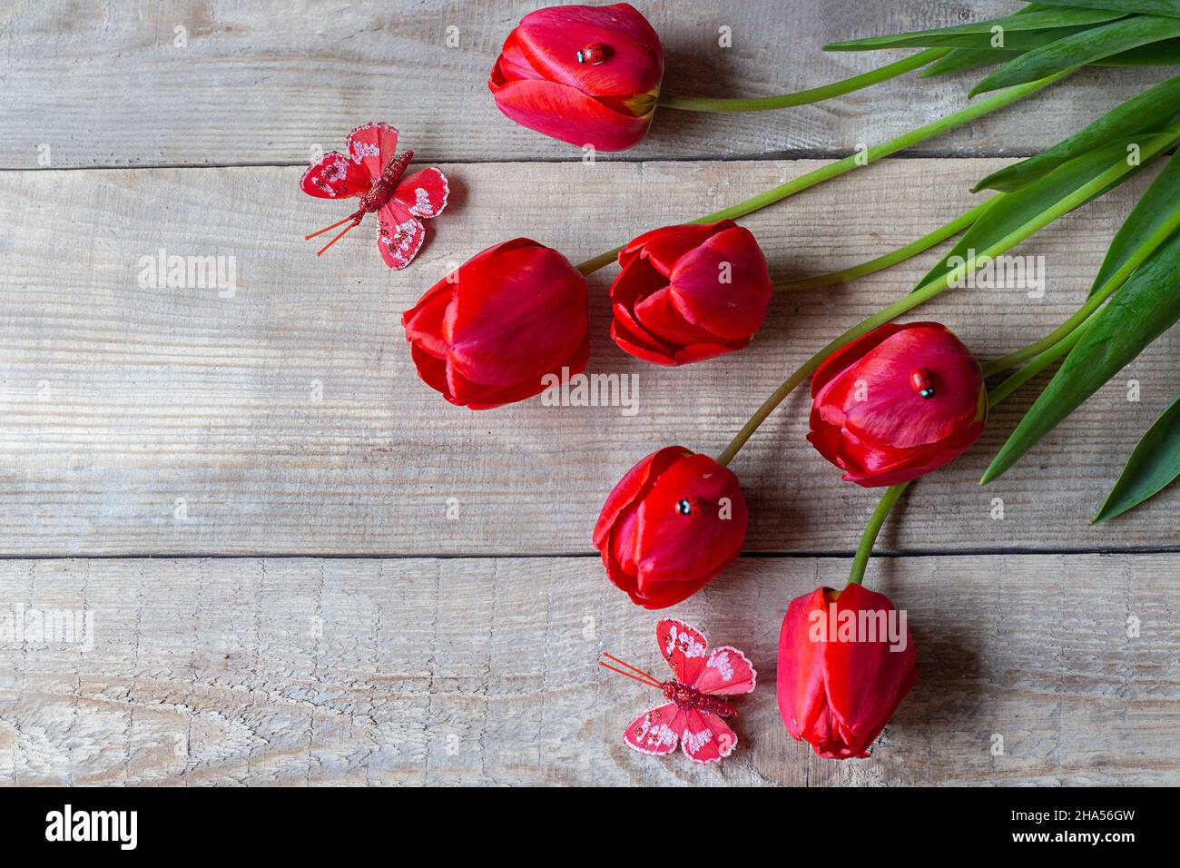 Arrière-plan de Pâques.Bonne carte de Pâques.Pâques.Bannière.Copier l'espace Banque D'Images