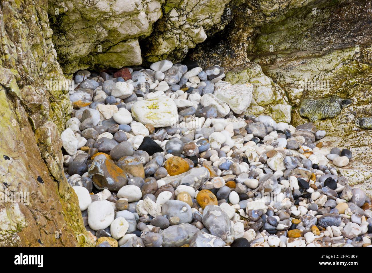 europe,irlande du nord,comté antrim,pont-jetée côte,falaises calcaires avec galets colorés sur la côte à portrush Banque D'Images