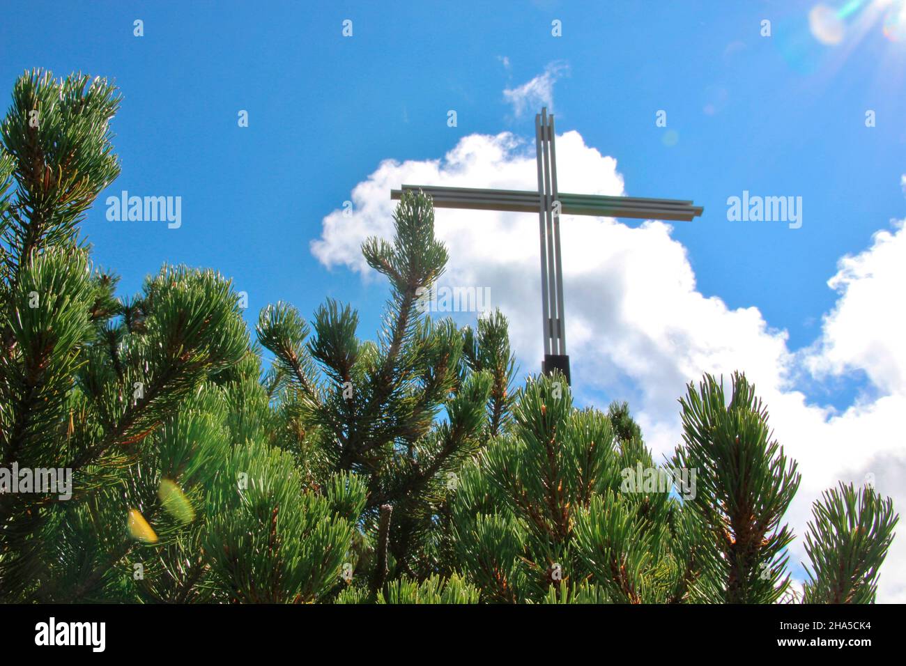 sommet croix à bärenkopf (1991m),achensee,tyrol,autriche,humeur nuageuse,pins de montagne en premier plan Banque D'Images