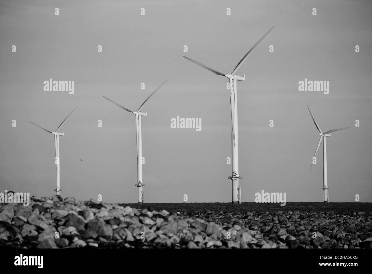 Image en noir et blanc à éclairage naturel du parc éolien offshore Teesside exploité par EDF renouvelables.Photo de South Gare, Redcar, North Yorkshire, Royaume-Uni Banque D'Images