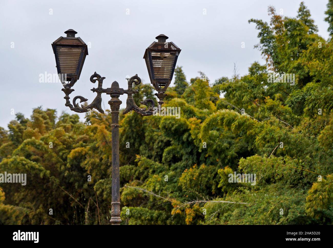 Ancien pôle lumineux et végétation, Tiradentes, Brésil Banque D'Images