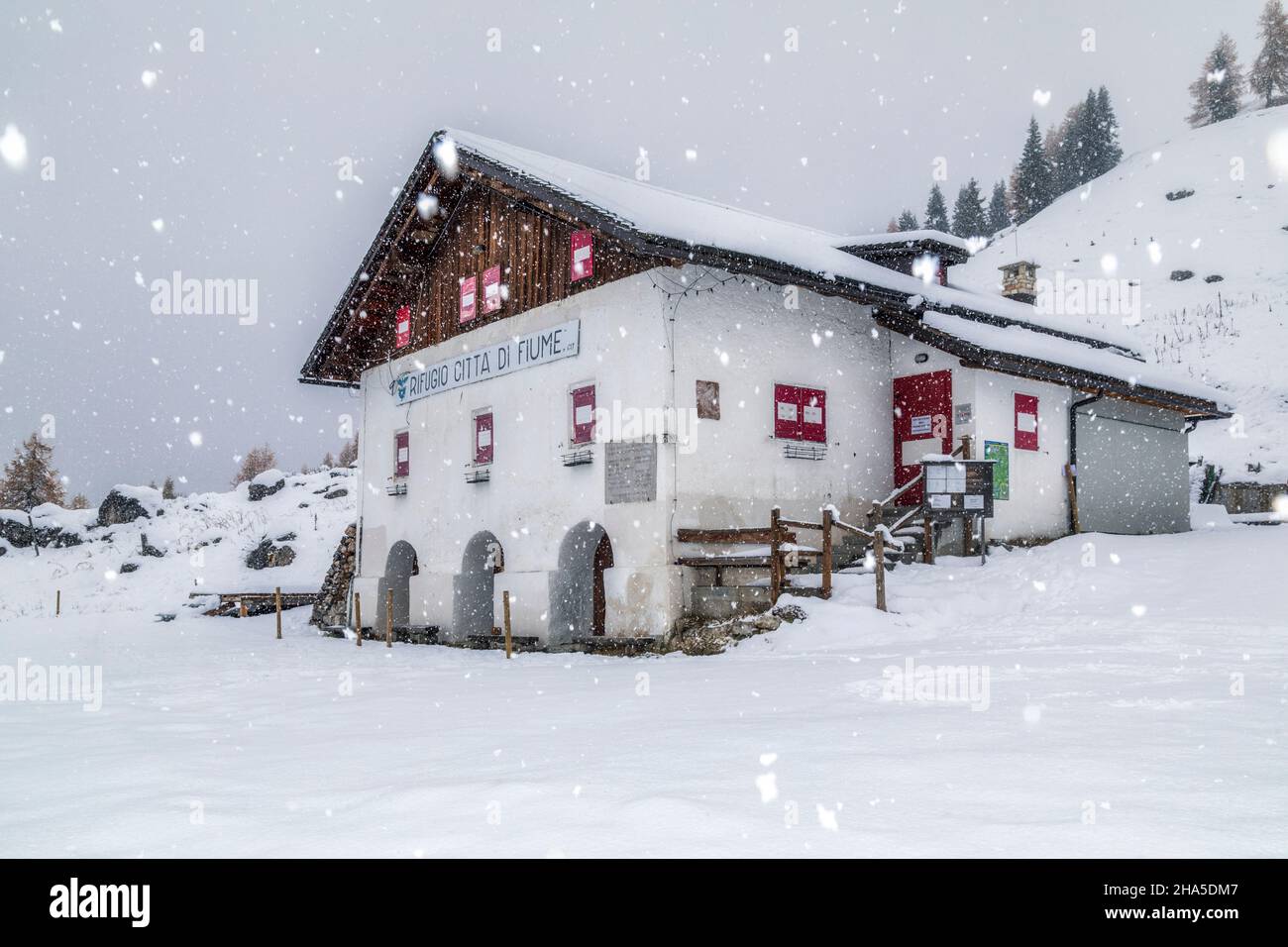 rifugio citta–€ di fiume,cabane alpine italienne dans la vallée de fiorentina en hiver sous une chute de neige,borca di cadore,belluno,veneto,italie Banque D'Images