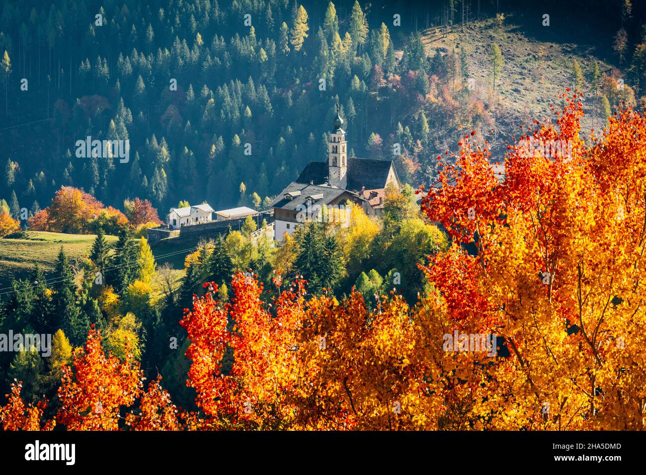 eglise san tomaso en automne, san tomaso agordino, hameau de célat, dolomites, province de belluno, vénétie, italie Banque D'Images