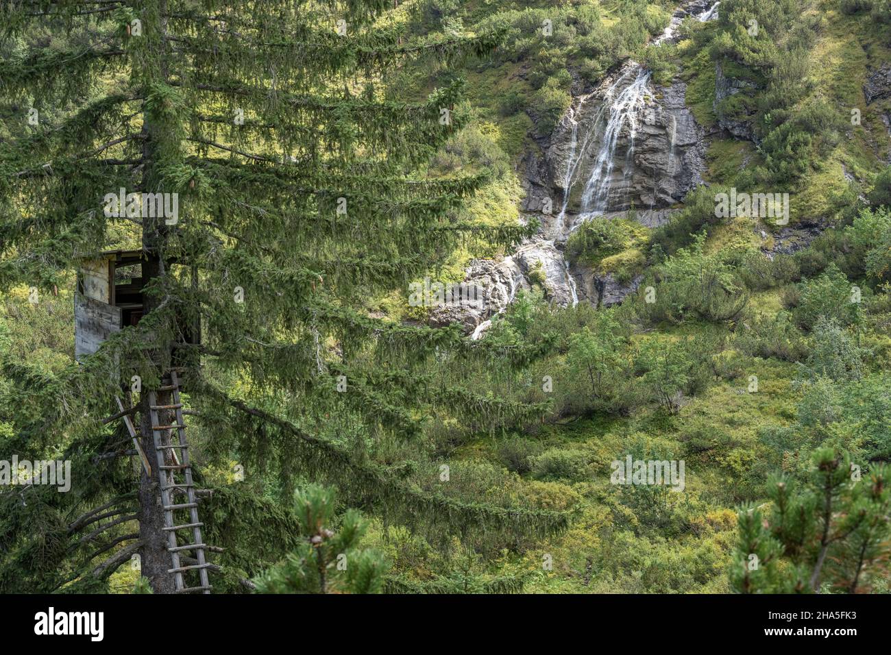autriche,kleinwalsertal,chute d'eau au bout du gemsteltal. Banque D'Images