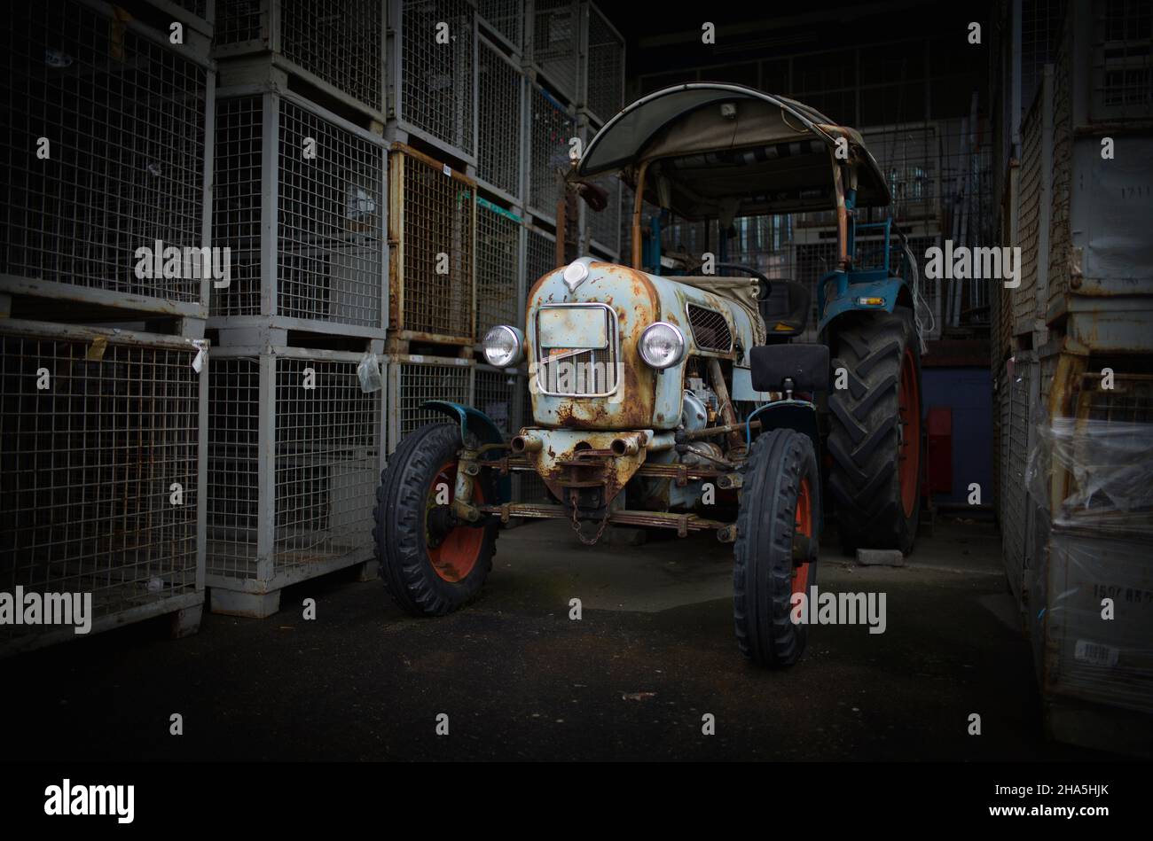 vieux eicher 'königstiger' (roi tigre) em300 tracteur,oldtimer,vintage,metzingen,bade-wurtemberg,allemagne Banque D'Images