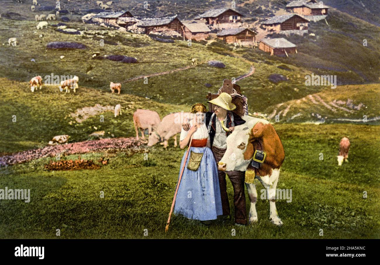 Paysage alpin suisse avec cheptels, vaches et maisons, vers 1910 , (carte postale, ) Banque D'Images