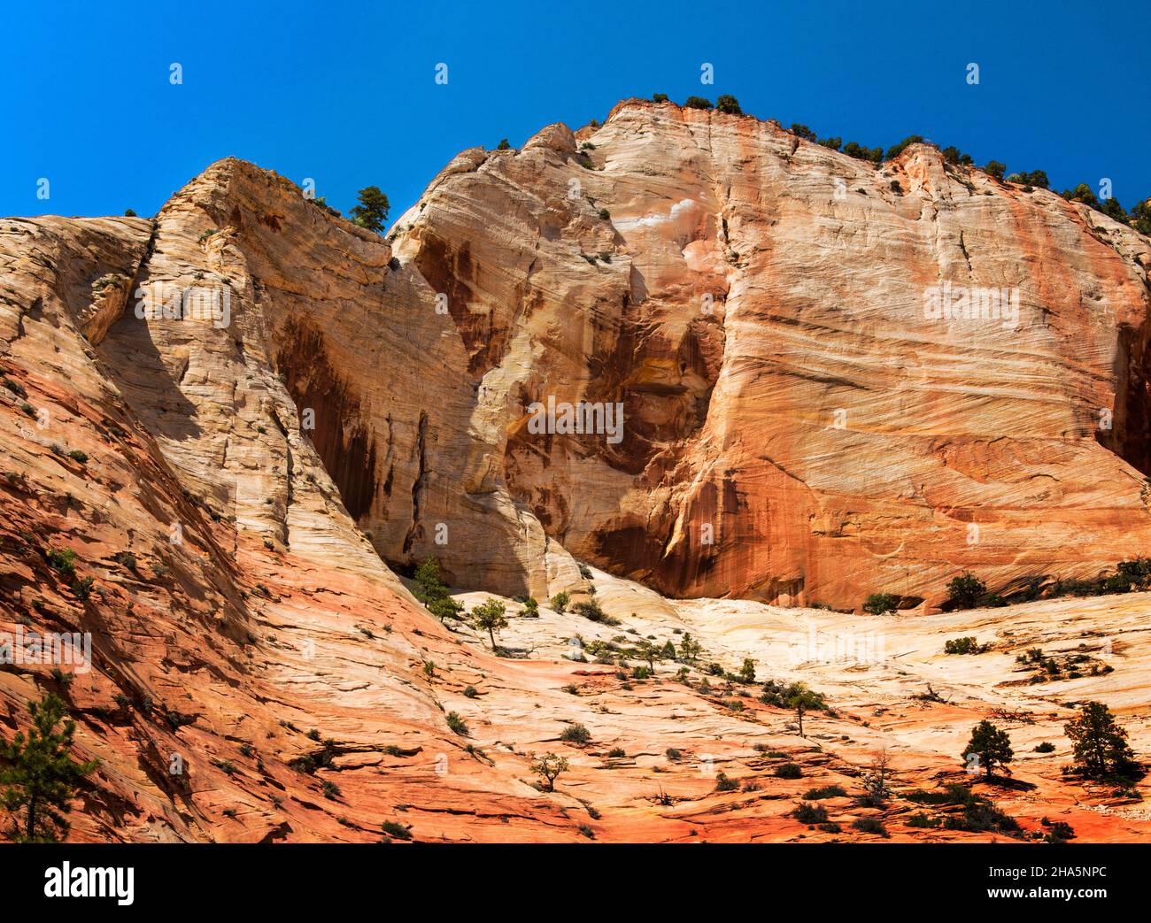 Beehives les formations rocheuses sont l'ensemble des pics de montagne semblables à des mousches (non pointés), parc national de Zion, Utah Banque D'Images