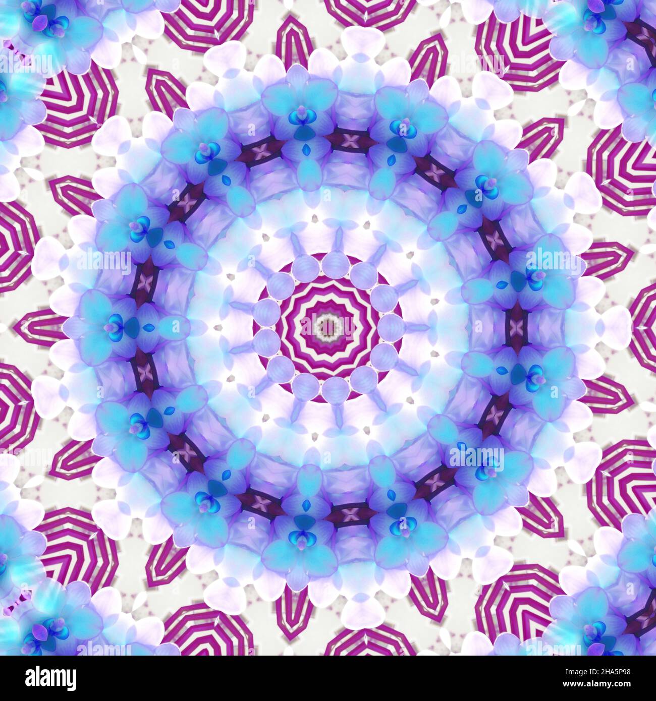 mandala, fleurs, feuilles Banque D'Images