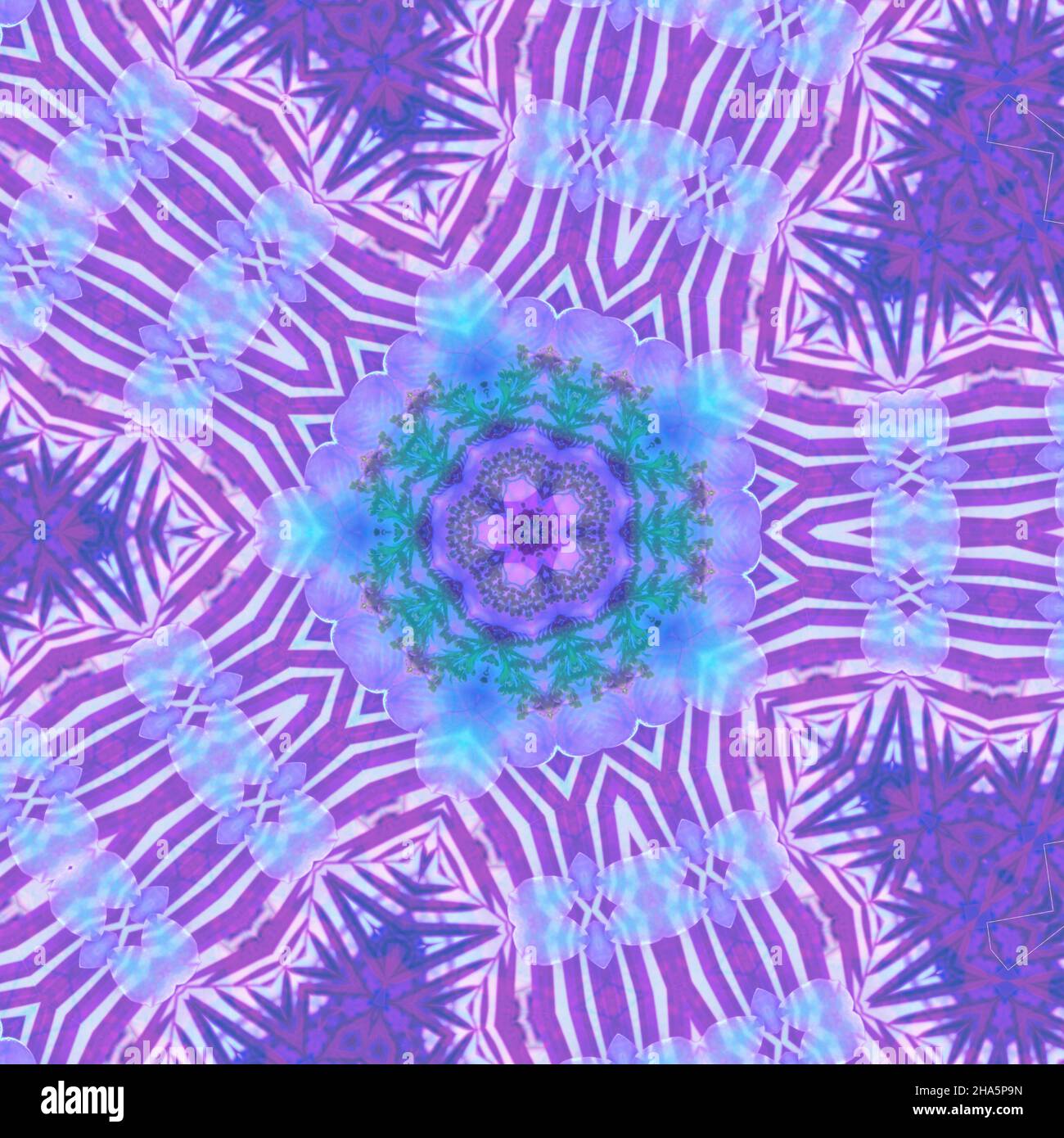 mandala, fleurs, feuilles Banque D'Images