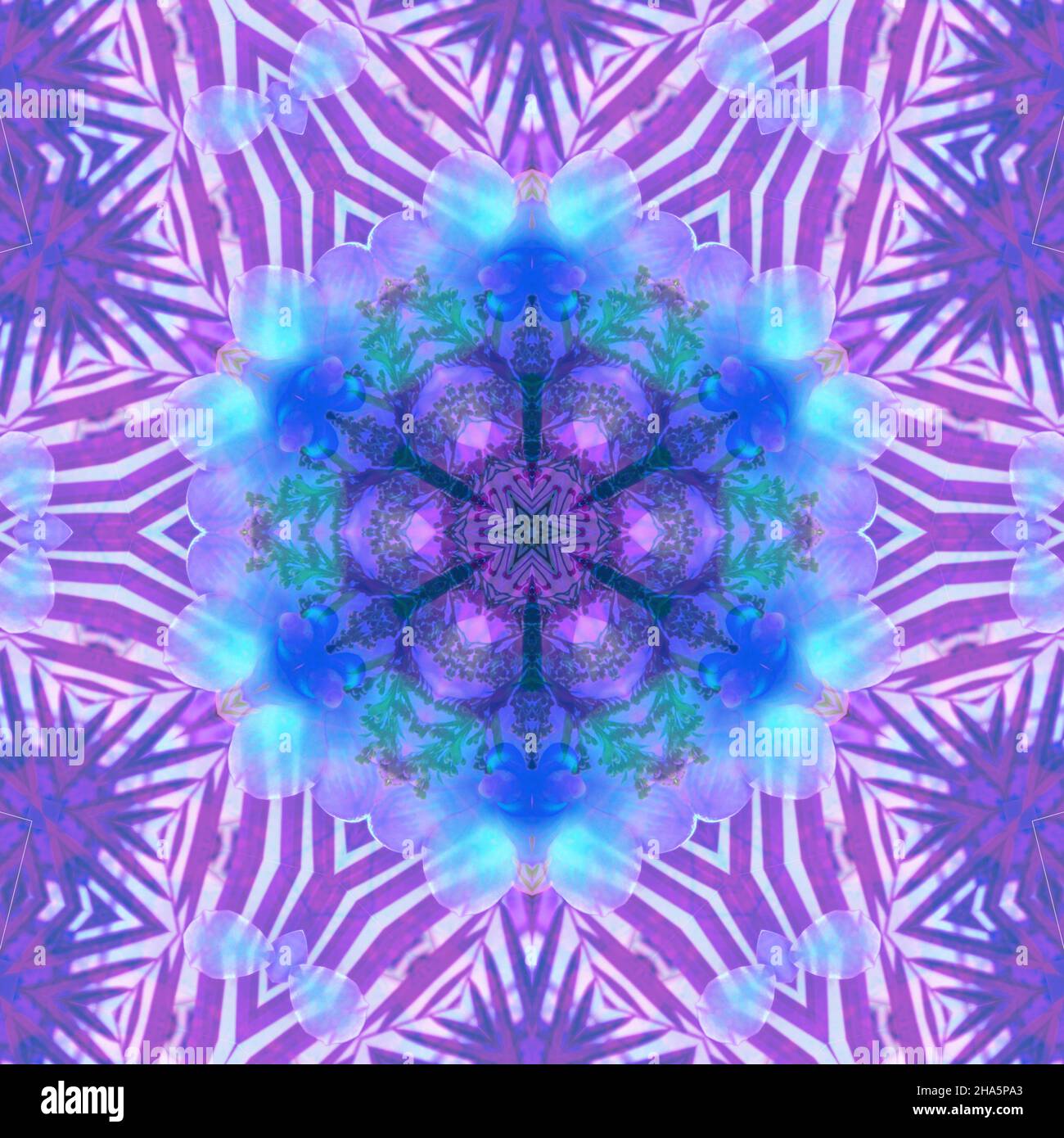 mandala, fleurs, feuilles Banque D'Images