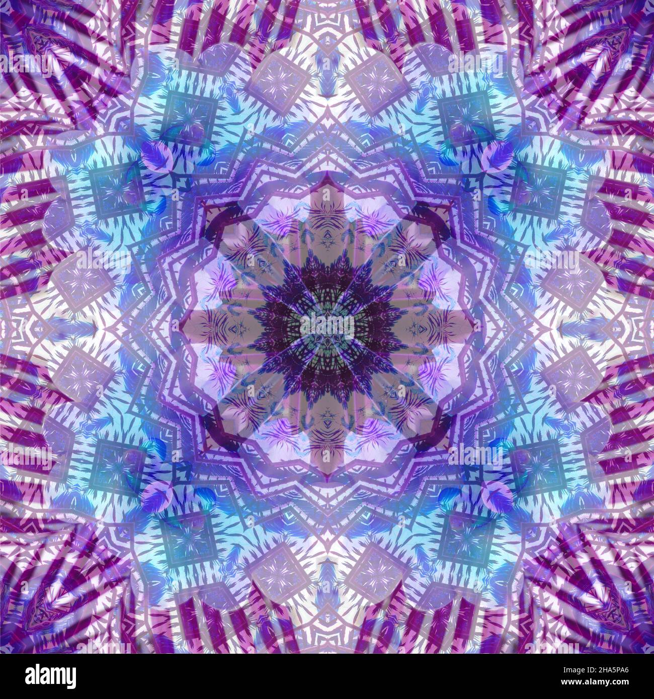 mandala, fleurs, feuilles Banque D'Images