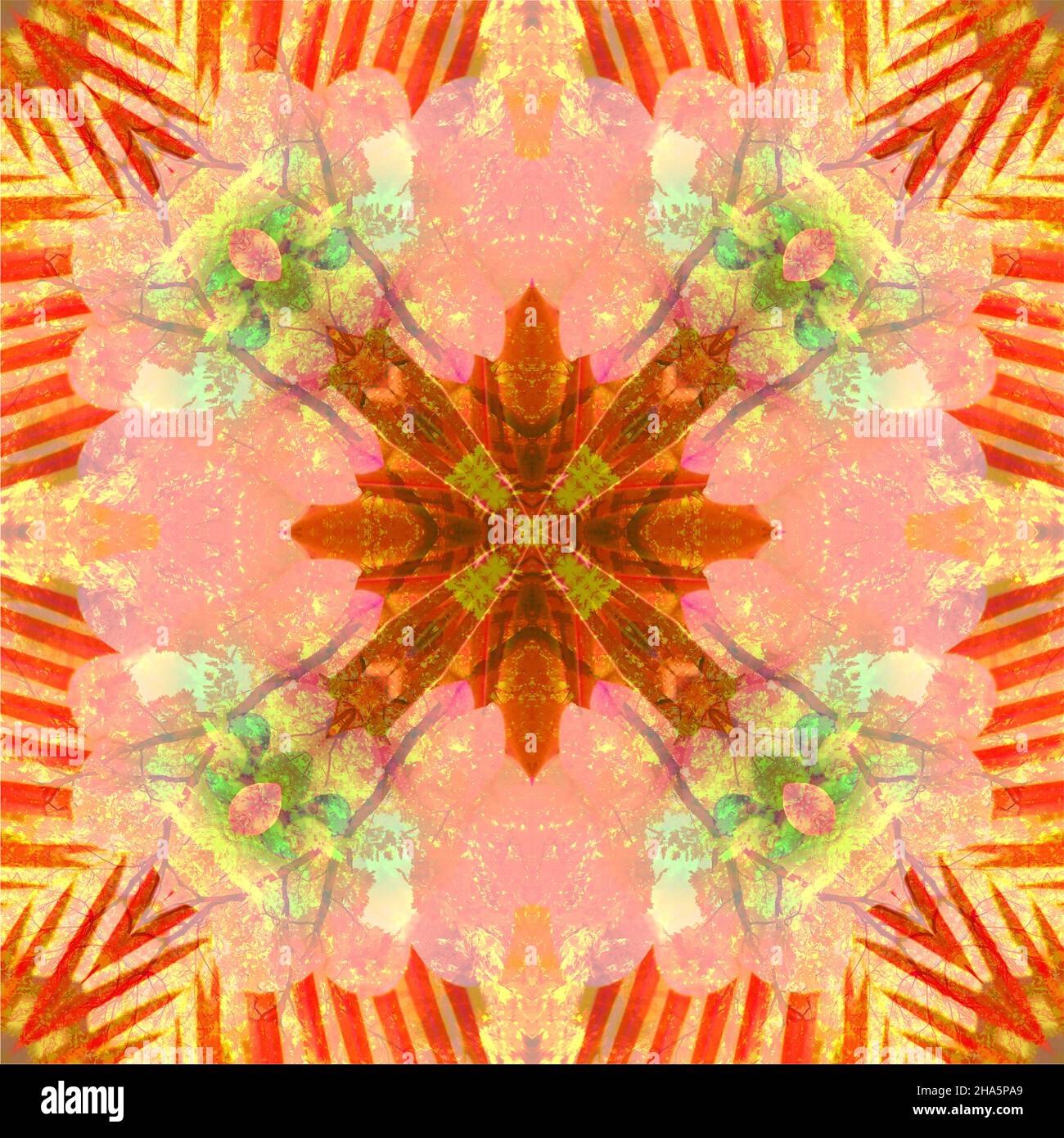 mandala, fleurs, feuilles Banque D'Images