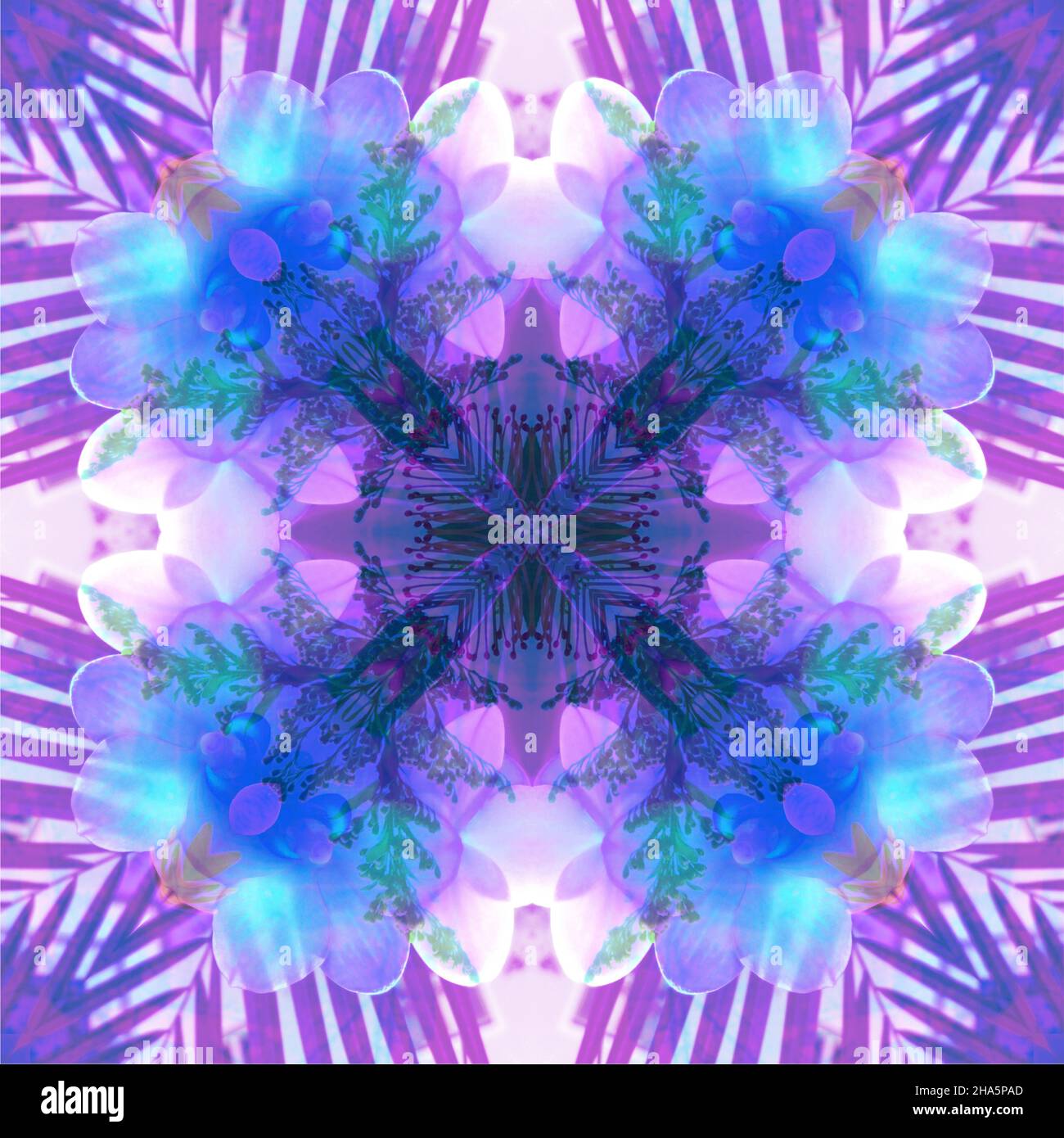 mandala, fleurs, feuilles Banque D'Images