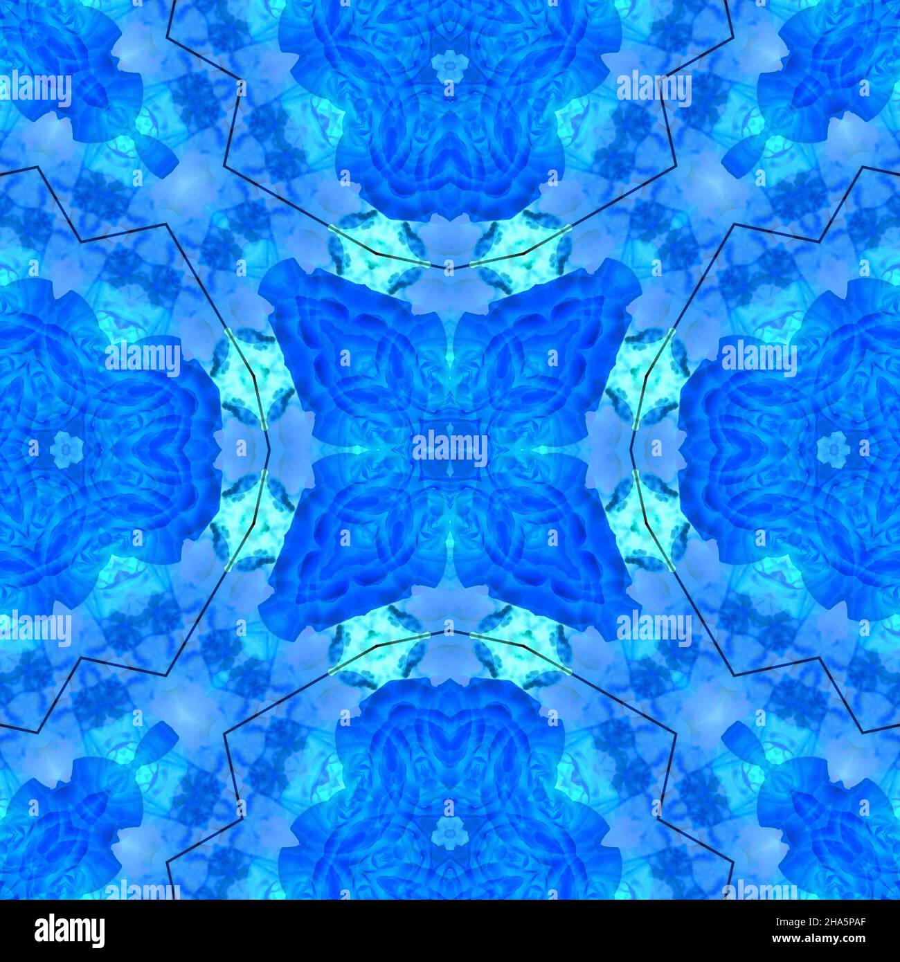 mandala, fleurs, feuilles Banque D'Images