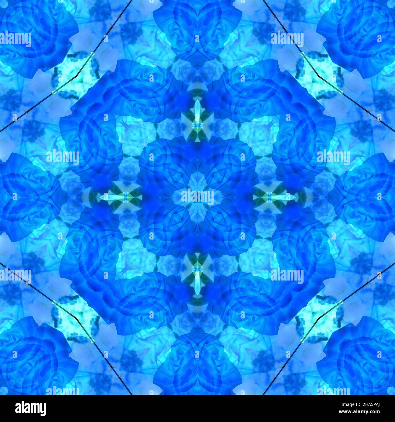 mandala, fleurs, feuilles Banque D'Images