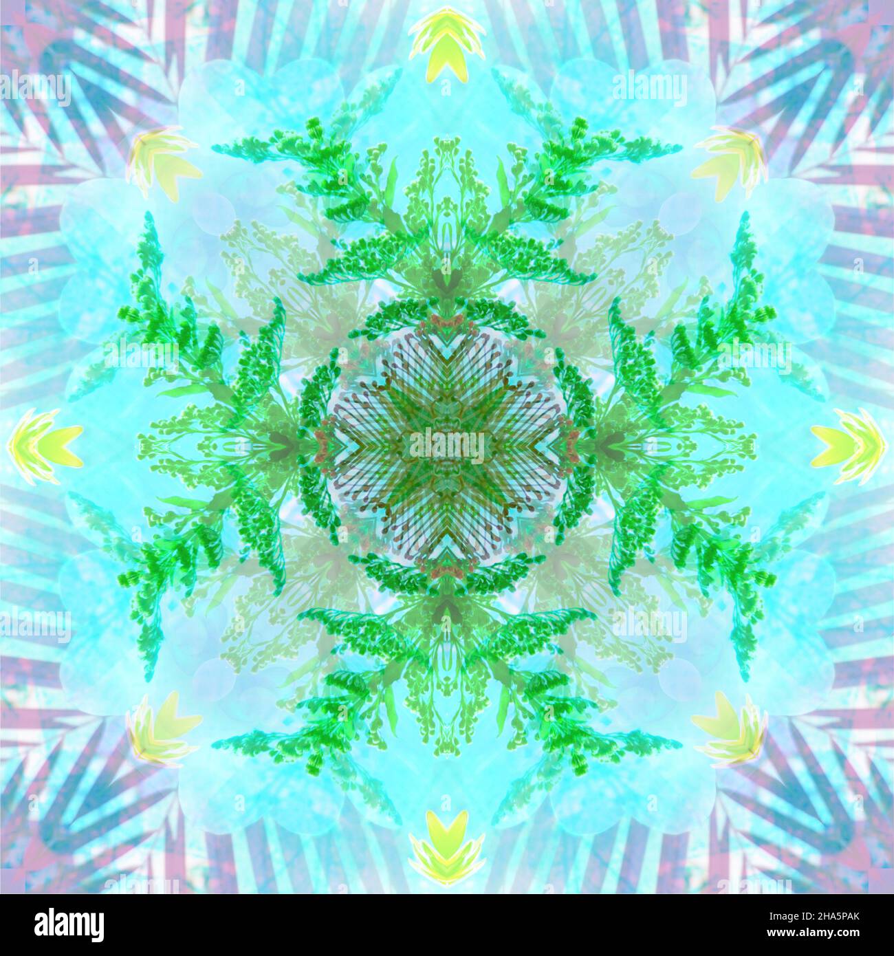 mandala, fleurs, feuilles Banque D'Images