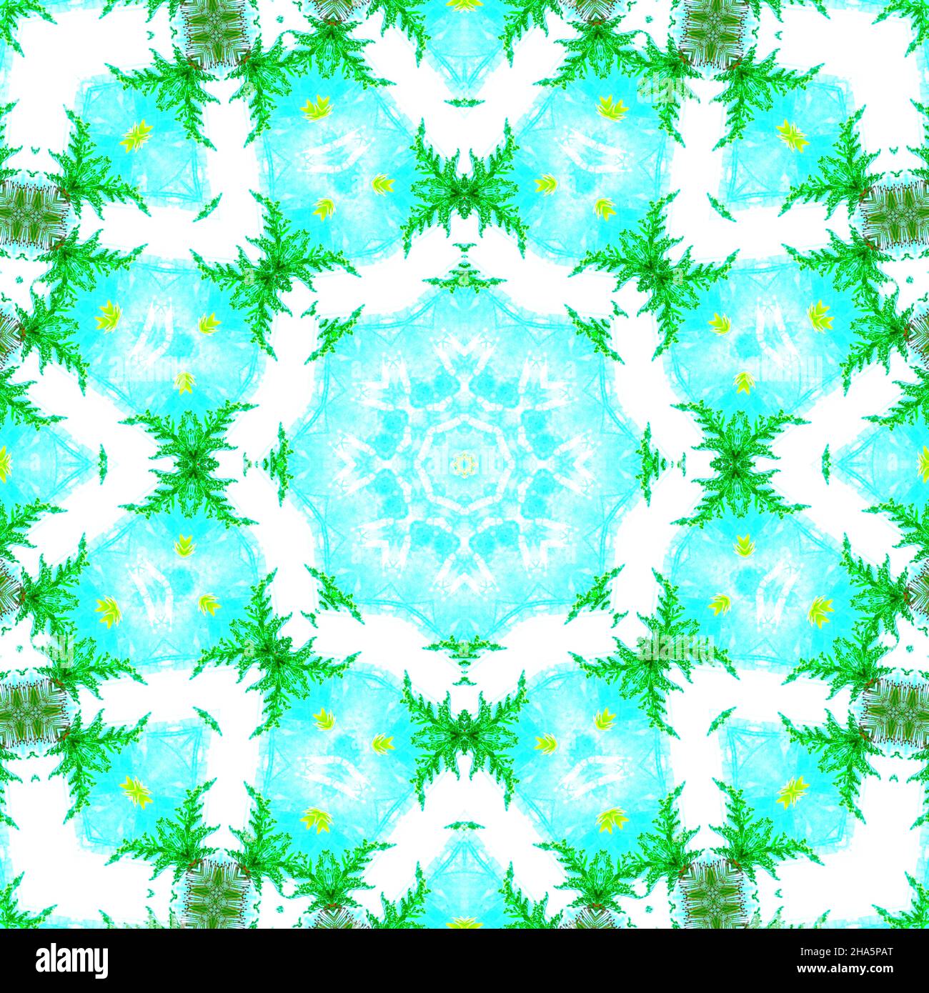 mandala, fleurs, feuilles Banque D'Images