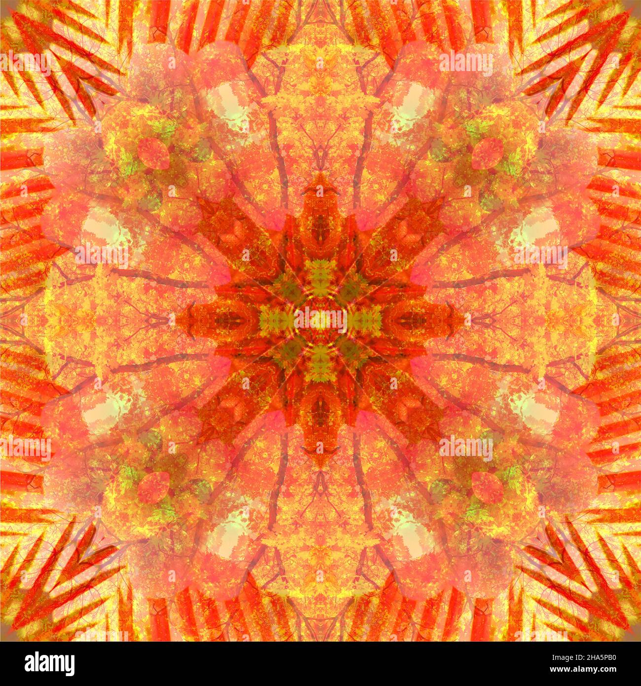 mandala, fleurs, feuilles Banque D'Images