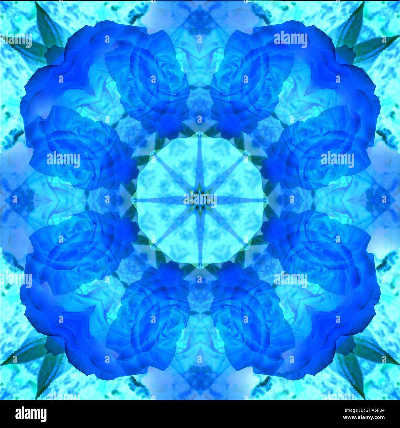 mandala, fleurs, feuilles Banque D'Images