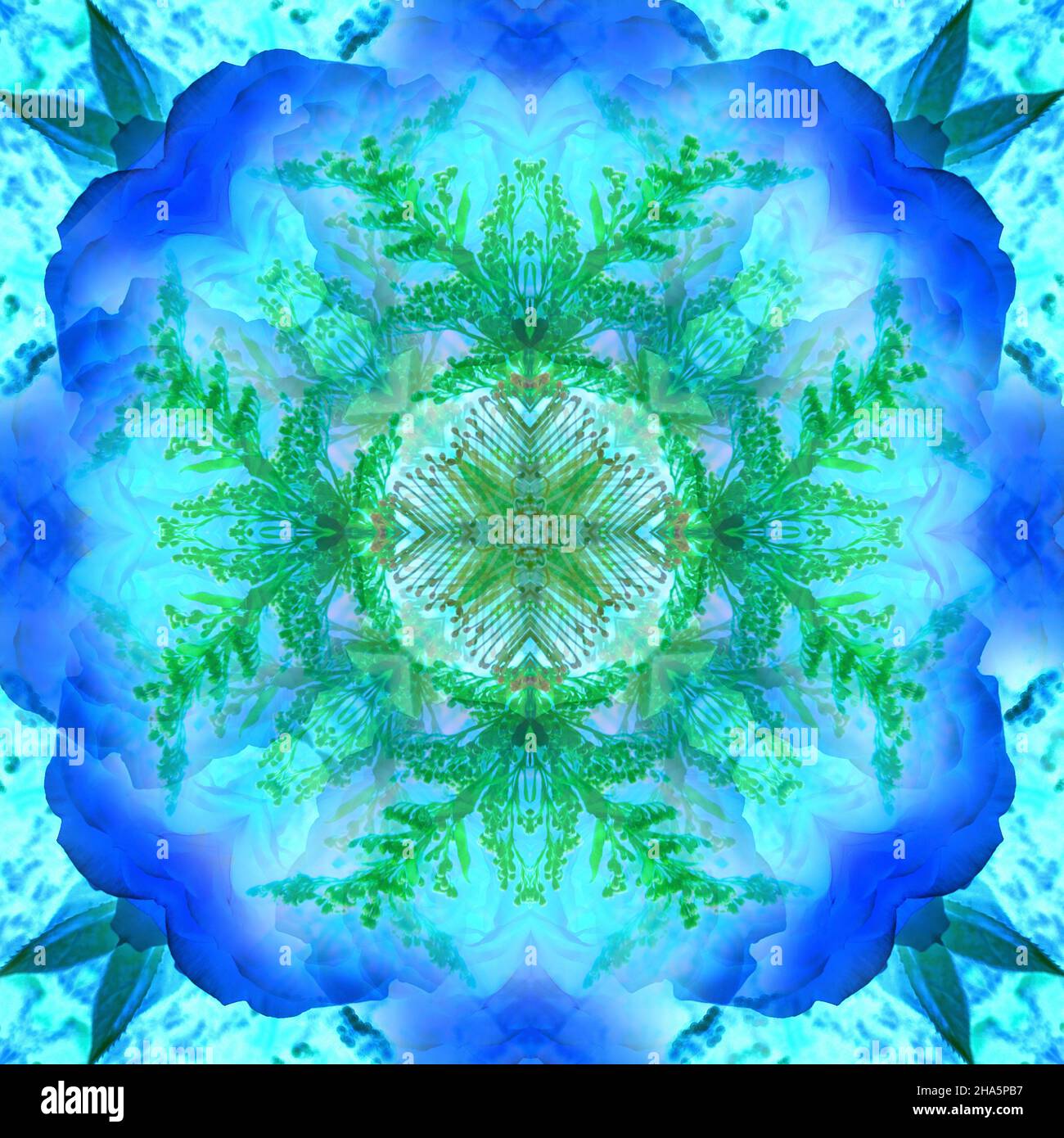 mandala, fleurs, feuilles Banque D'Images