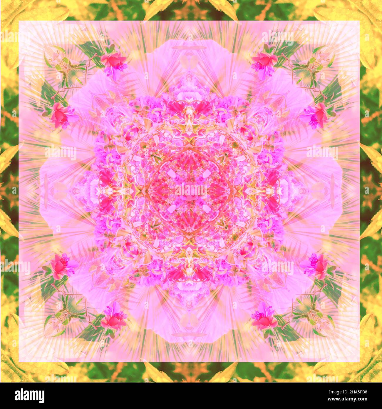 mandala, fleurs, feuilles Banque D'Images