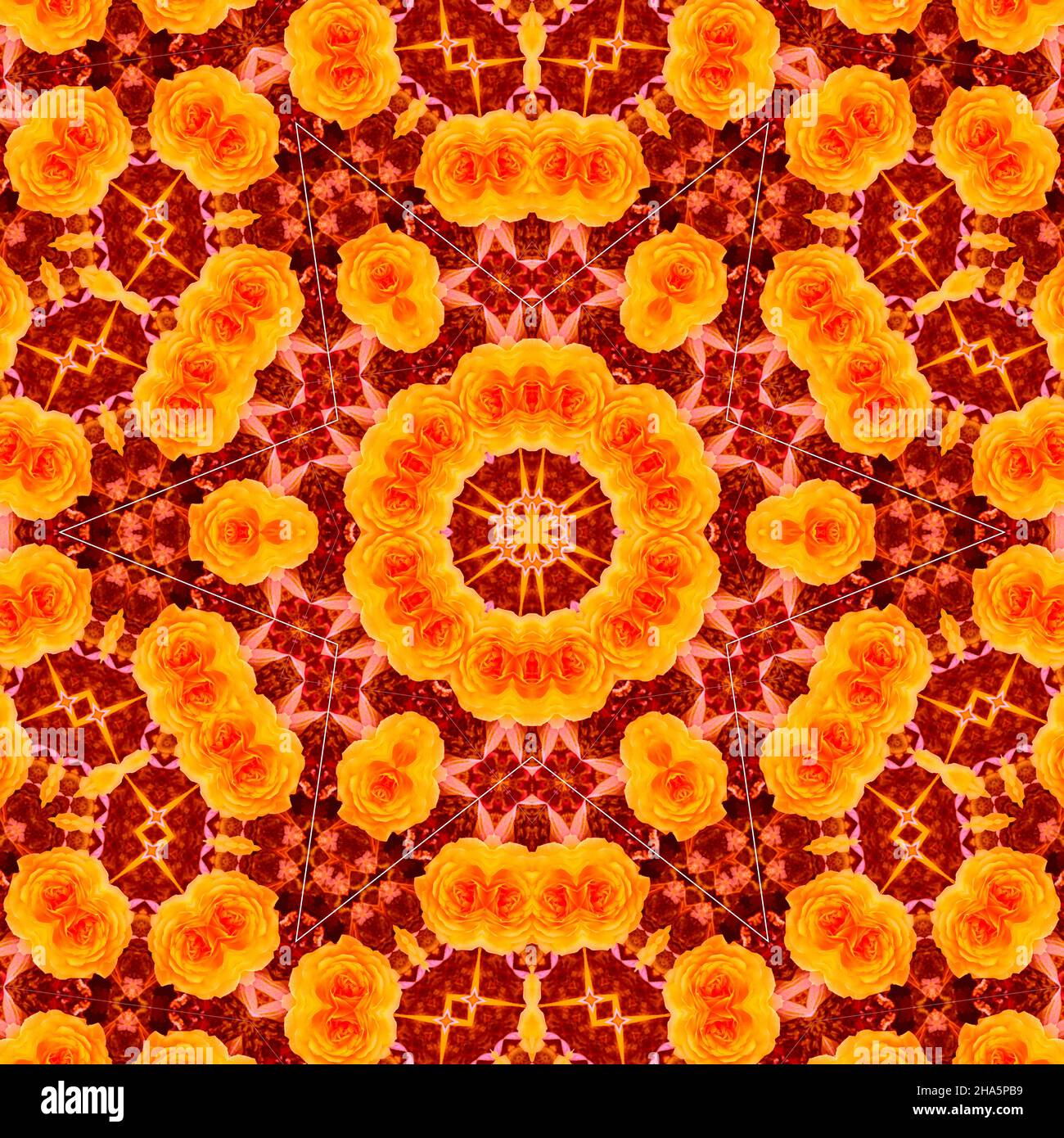 mandala, fleurs, feuilles Banque D'Images