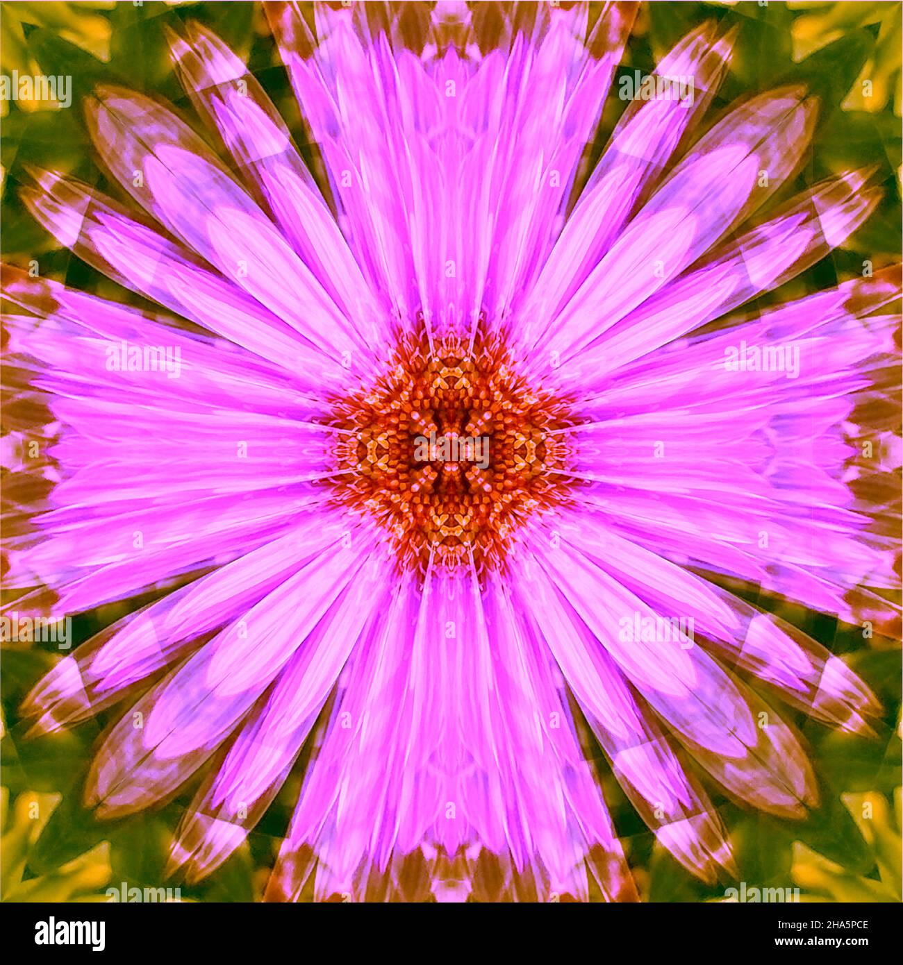 mandala, fleurs, feuilles Banque D'Images