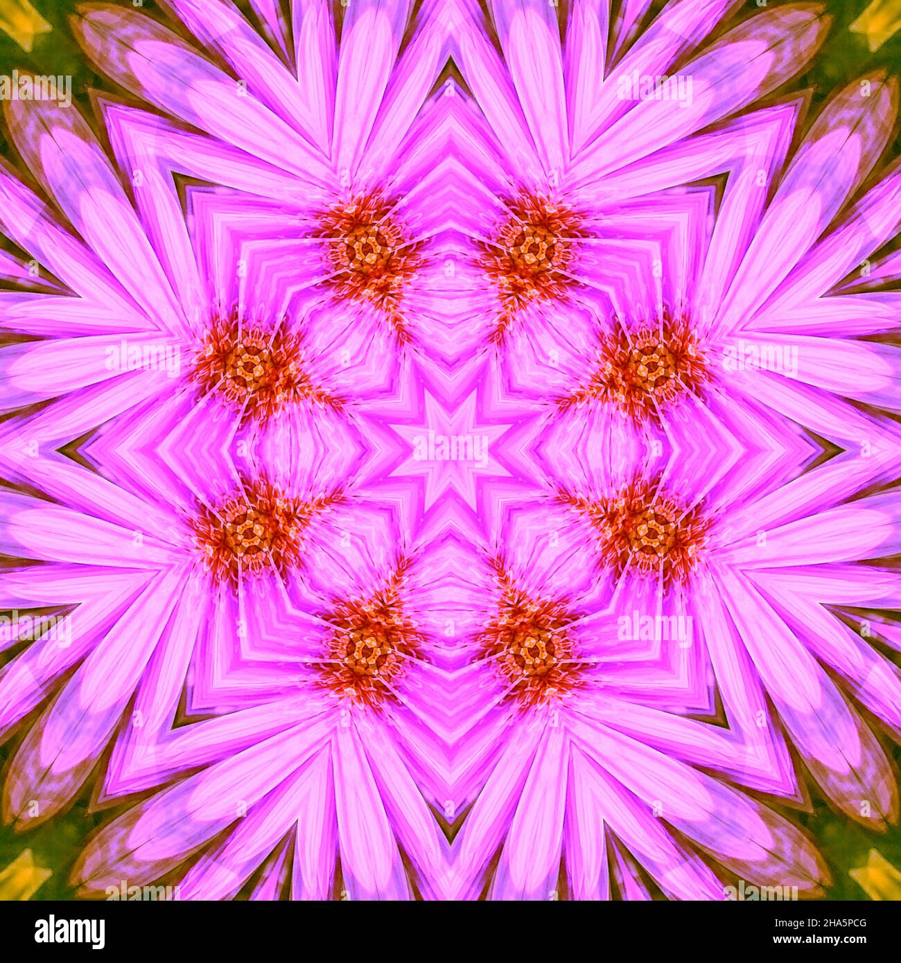 mandala, fleurs, feuilles Banque D'Images