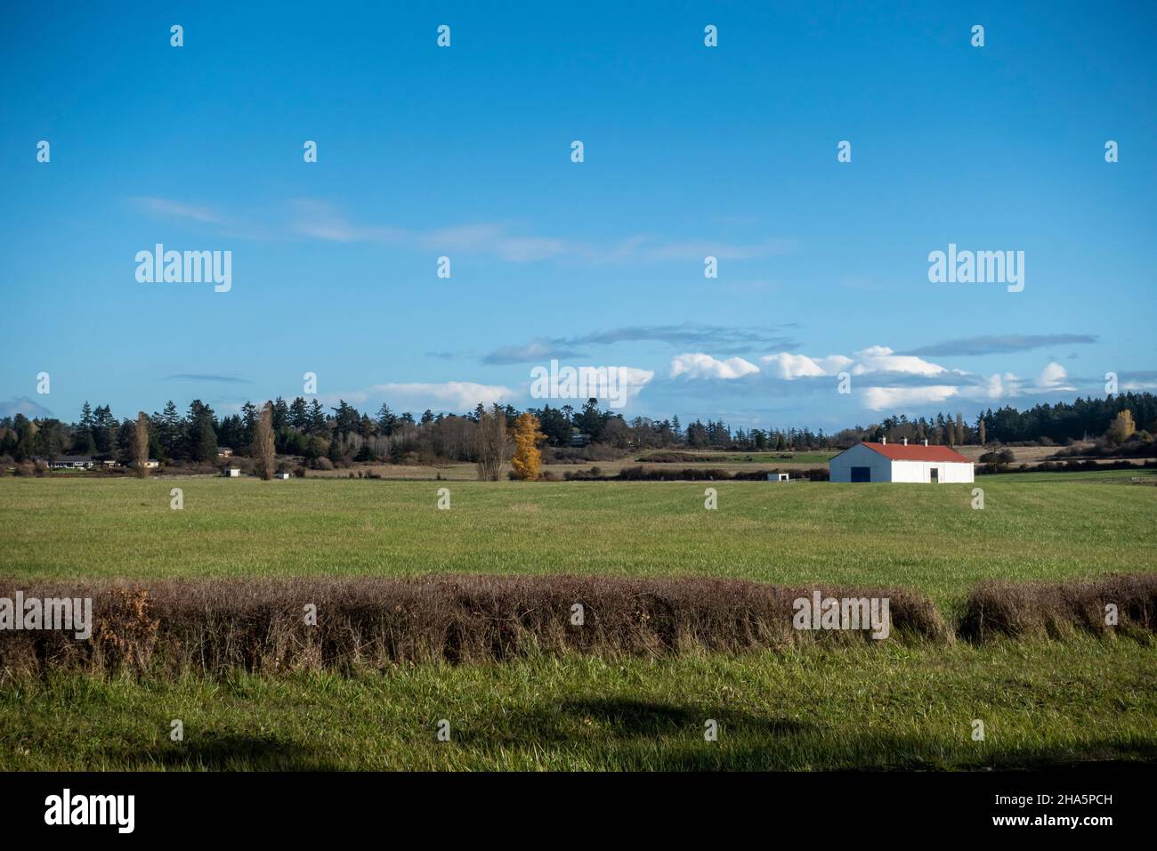 Vue panoramique sur une grange blanche sur un grand terrain de ferme dans le Nord-Ouest du Pacifique Banque D'Images