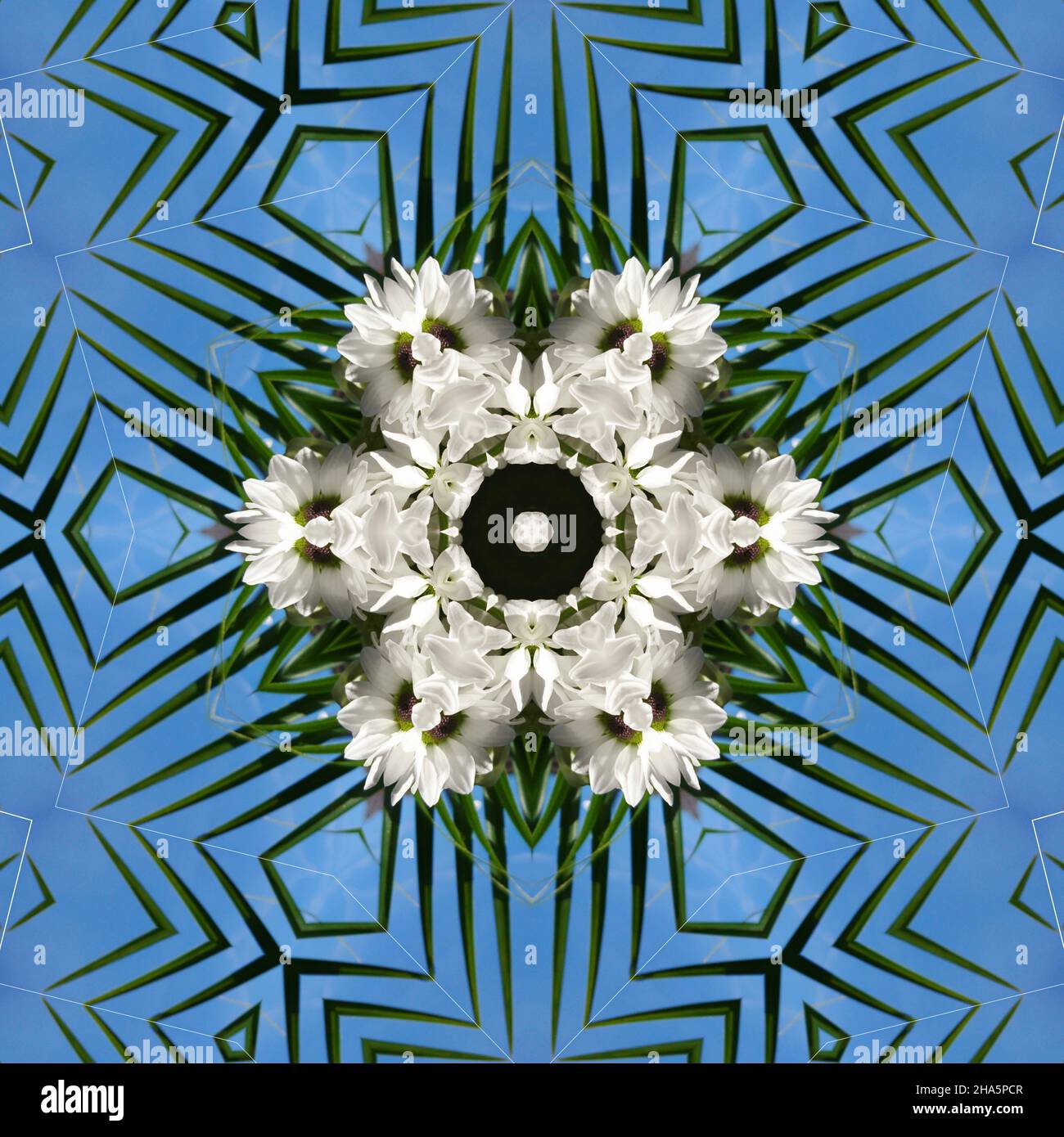 Mandala Banque D'Images