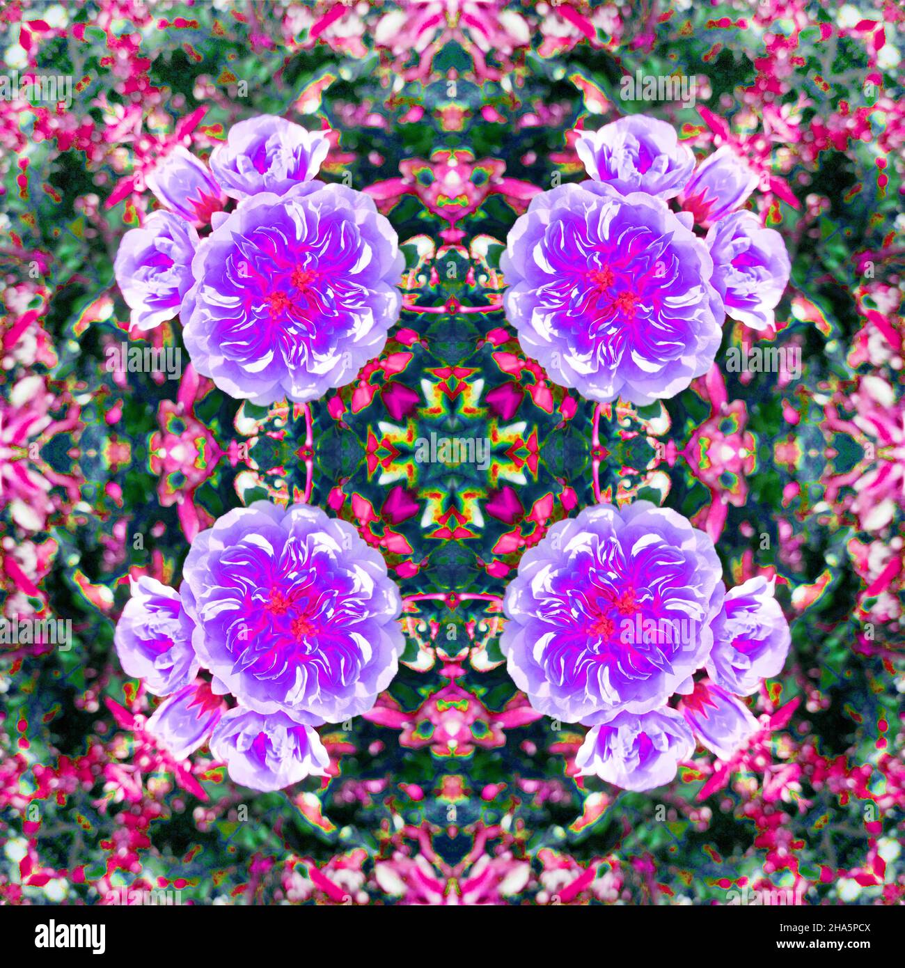 mandala, fleurs, feuilles Banque D'Images