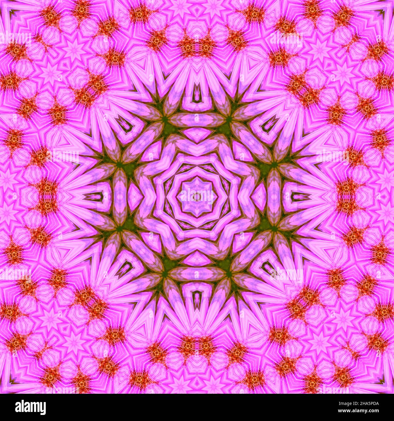 mandala, fleurs, feuilles Banque D'Images