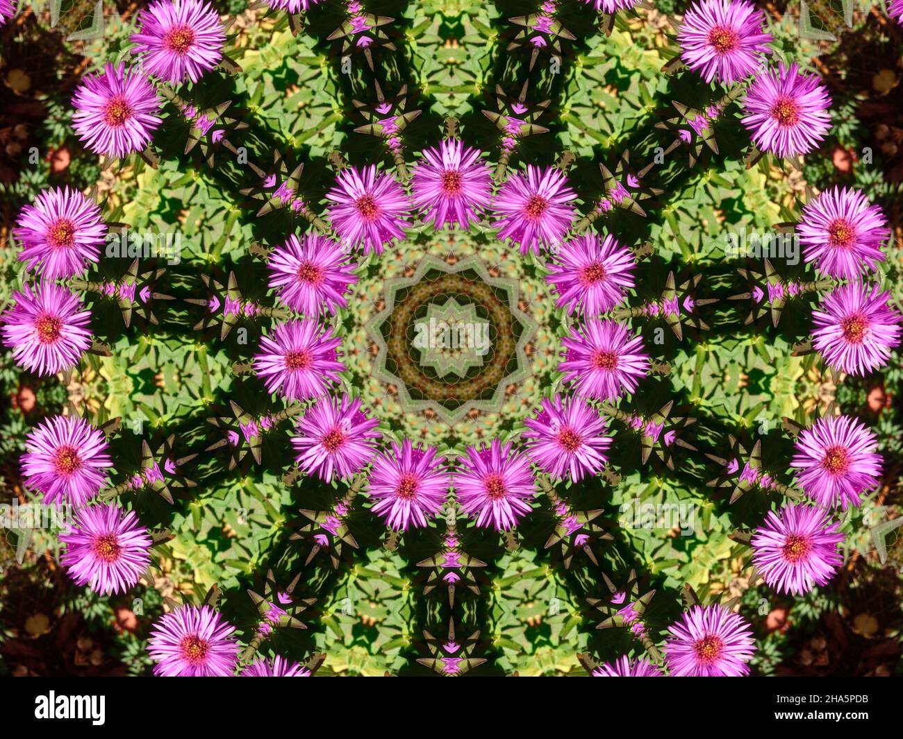 Mandala Banque D'Images