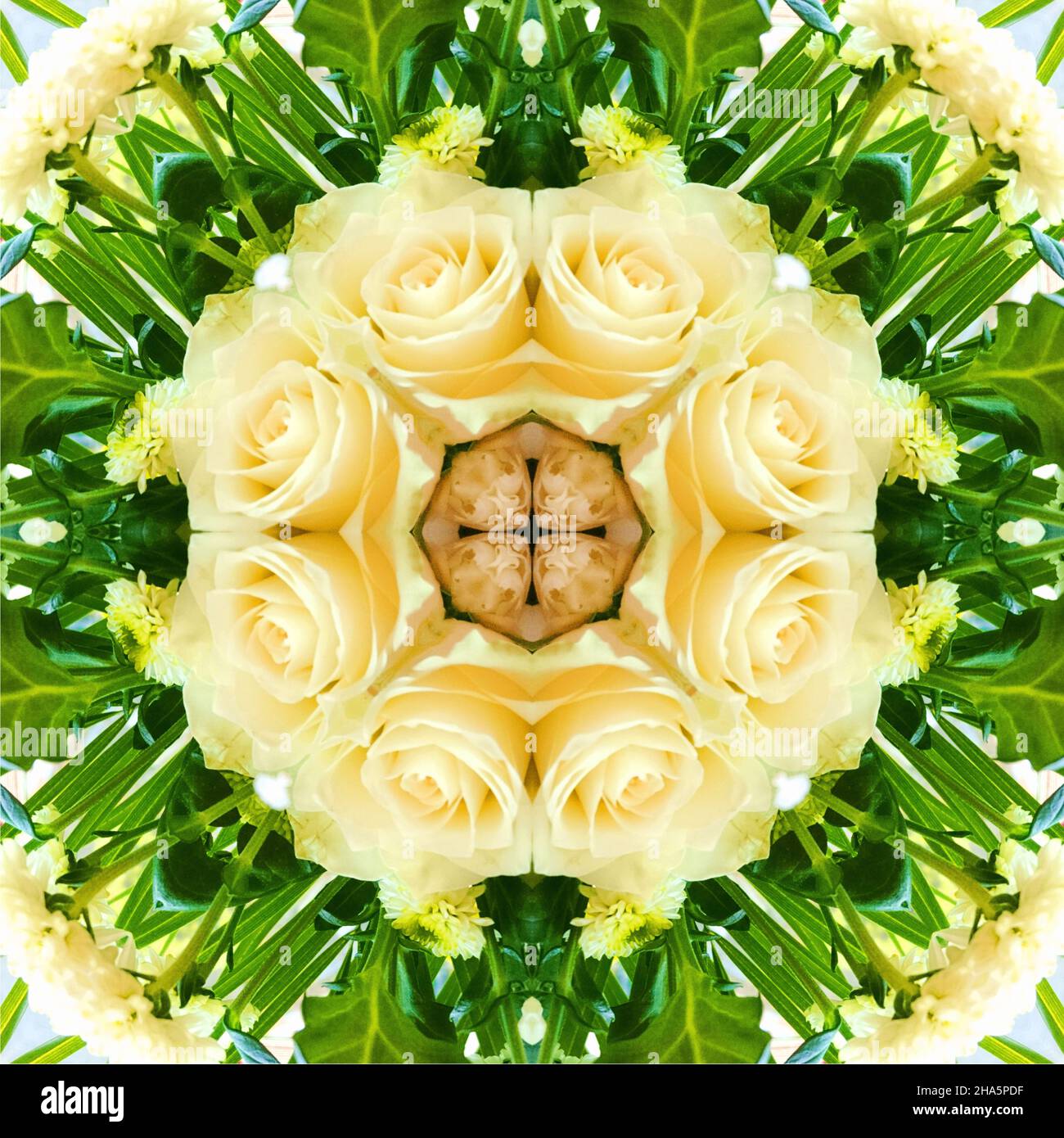 mandala, fleurs, feuilles Banque D'Images