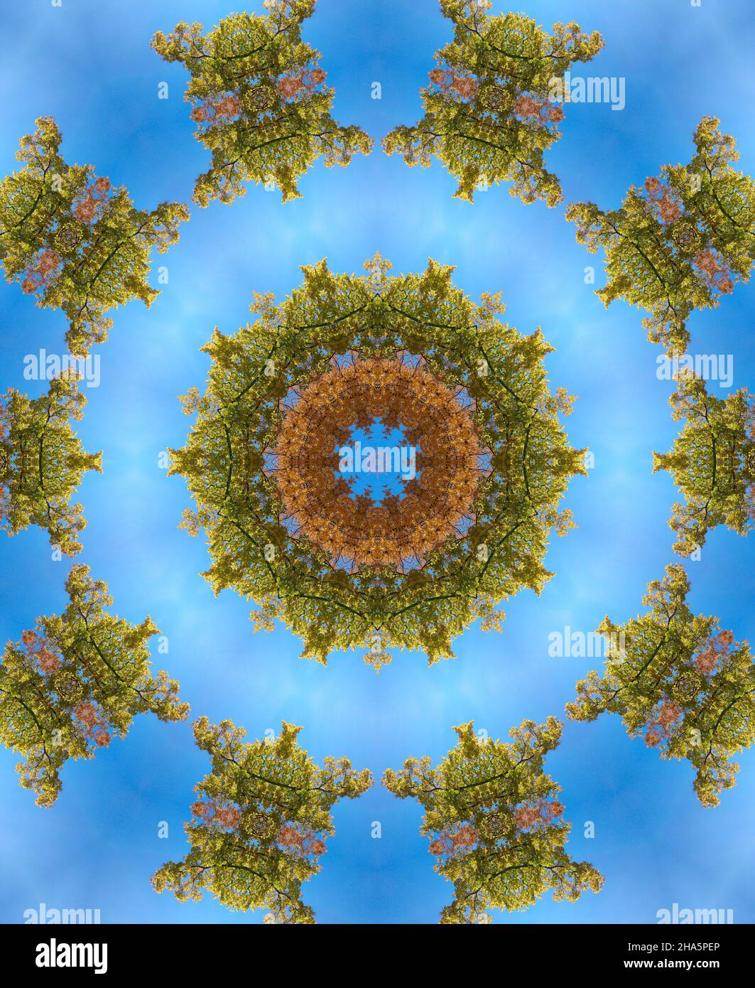 Mandala Banque D'Images