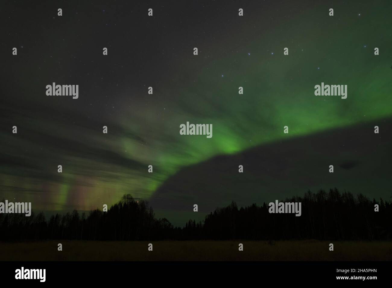 aurores boréaux avec ciel étoilé,nyluspen,västerbotten,laponie,suède Banque D'Images