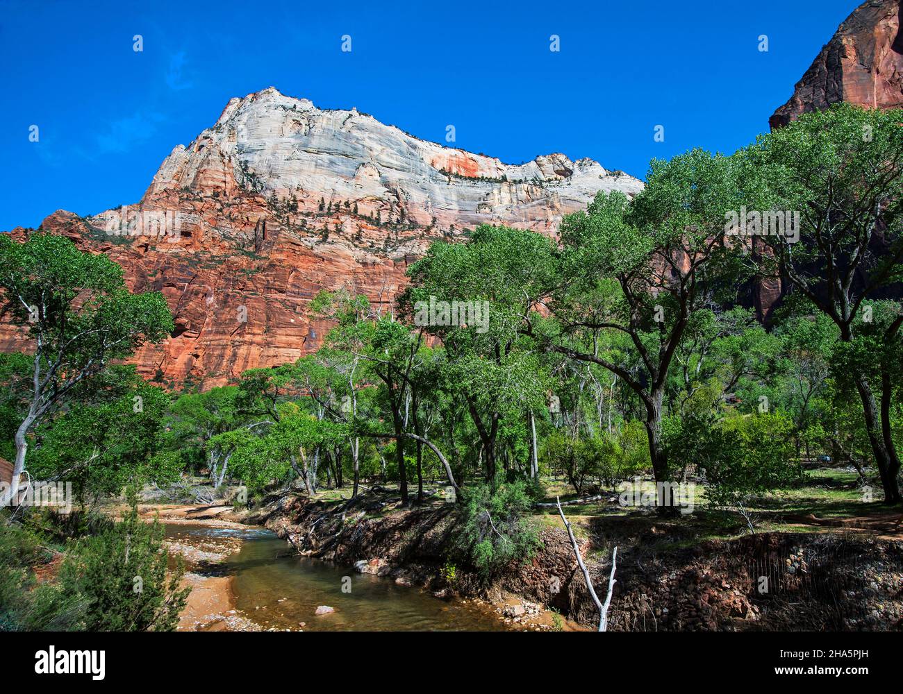 Virgin River, Zion National Park, Utah Banque D'Images