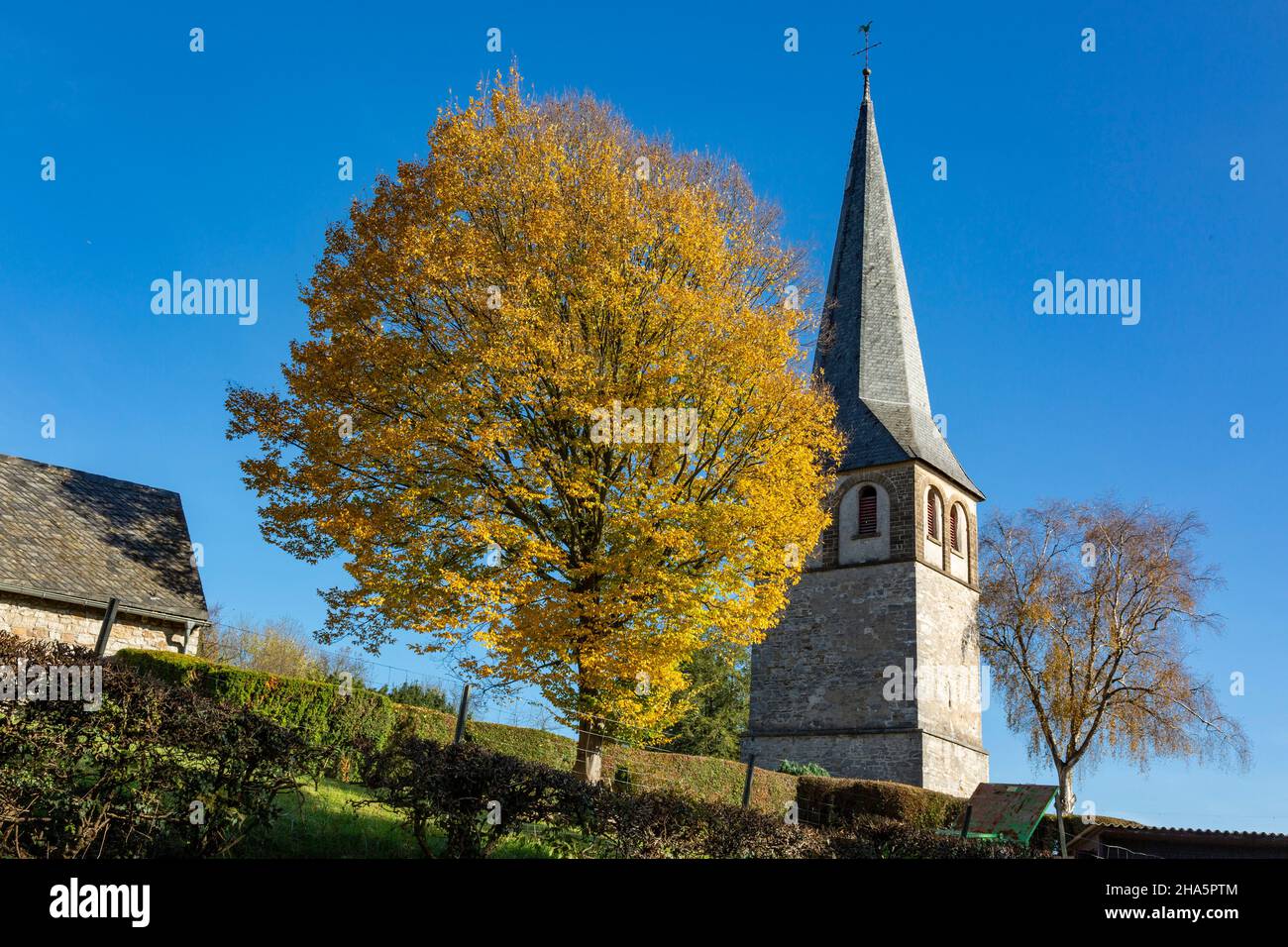 allemagne,haan,bergisches land,niederbergisches land,niederberg,rhénanie,du nord-westphalie,nrw,haan-gruiten,village historique gruiten,ancienne église tour de l'ancienne église fortifiée catholique alt st. nikolaus sur le friedhofshuegel,roman,arbres avec des couleurs d'automne Banque D'Images