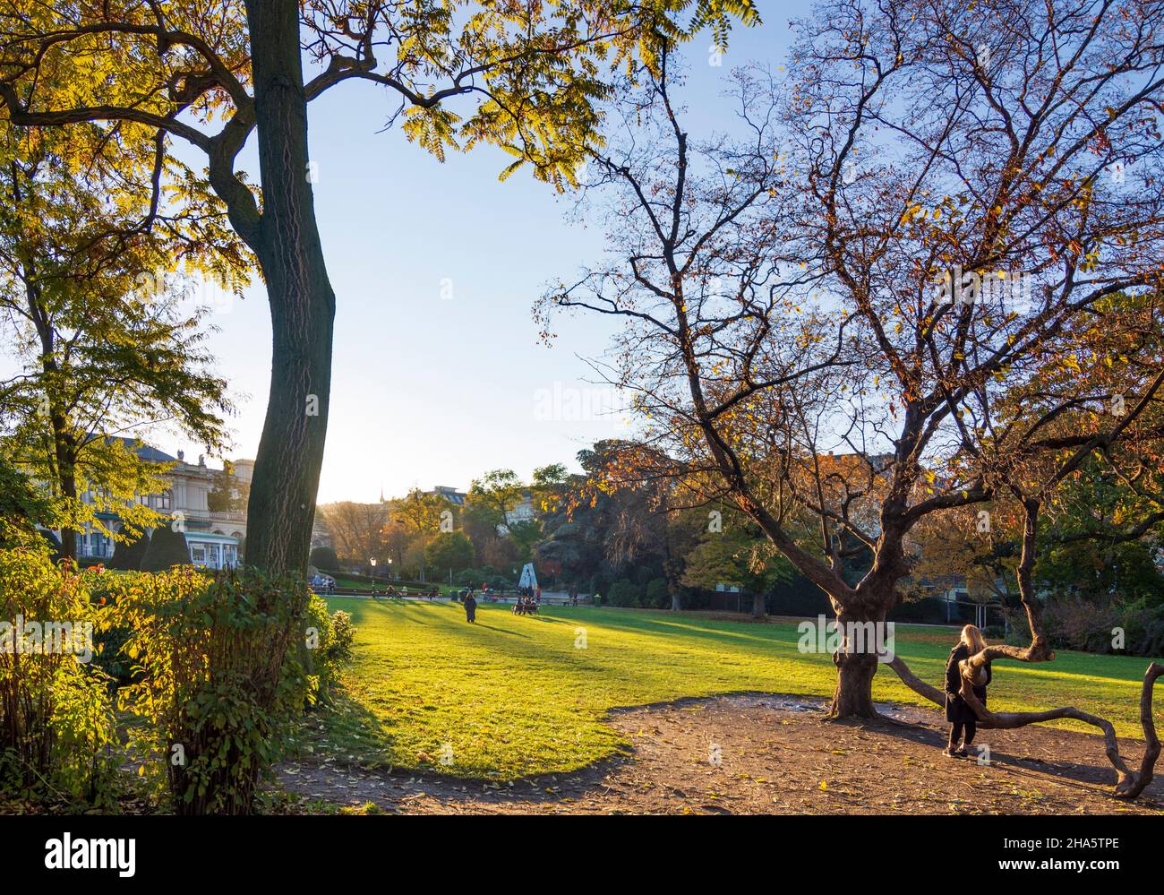 vienne, parc stadtpark, femme à l'arbre bénéficie du dernier soleil du jour, couleurs d'automne, vue à kursalon hübner en 01. vieille ville, vienne, autriche Banque D'Images