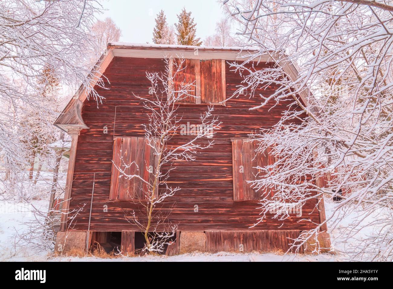 Cottage abandonné dans paysage d'hiver Banque D'Images
