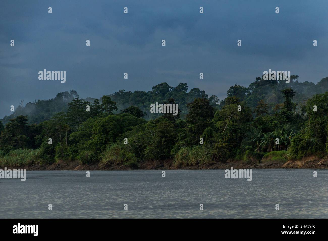Vue imprenable sur le fleuve Kinabatangan, Sabah, Malaisie Banque D'Images