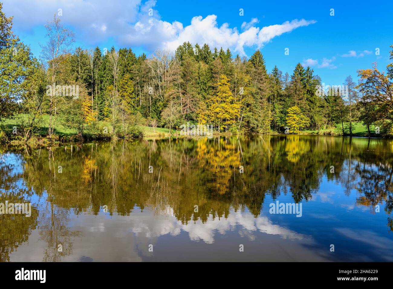 allemagne,bavière,haute-bavière,tölzer land,eurasburg,district beuerberg,étang de pêche Banque D'Images
