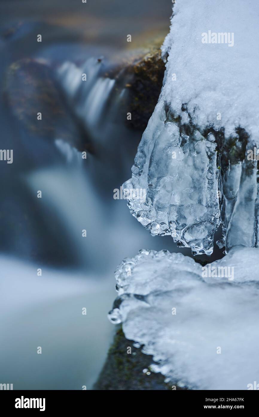 icicles sur la rive, rivière sauvage höllbach qui coule à travers en hiver, réserve naturelle hölle,bavière,allemagne Banque D'Images