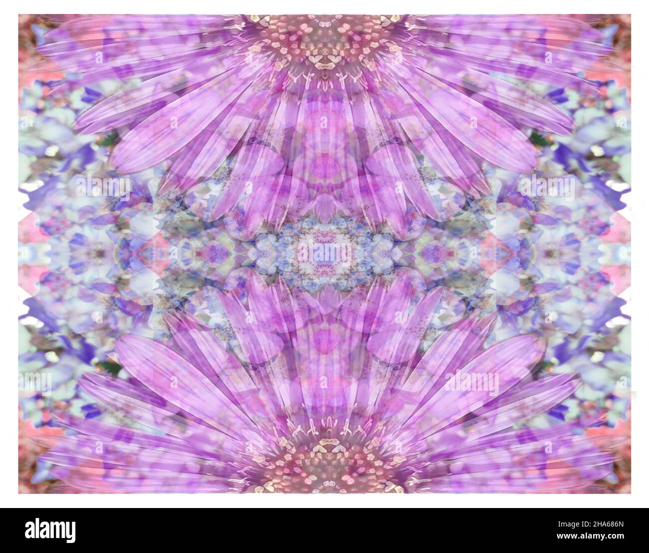 mandala,fleurs,composition Banque D'Images