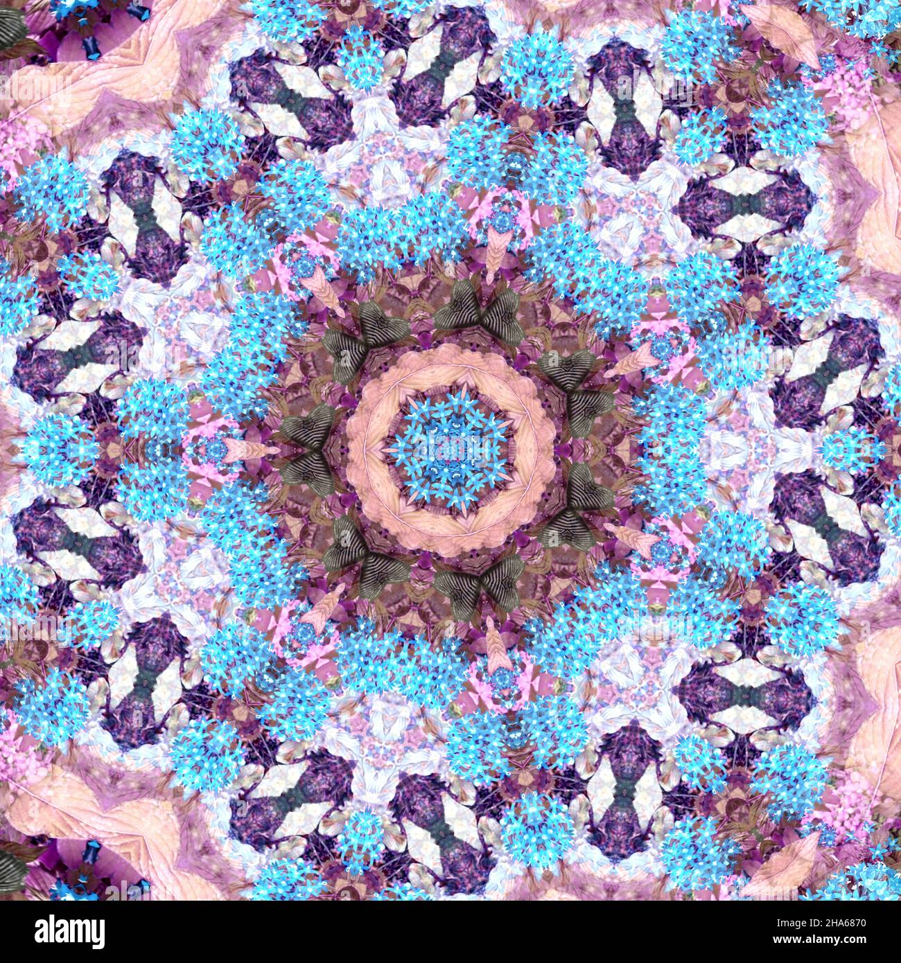 mandala,composition de fleurs Banque D'Images