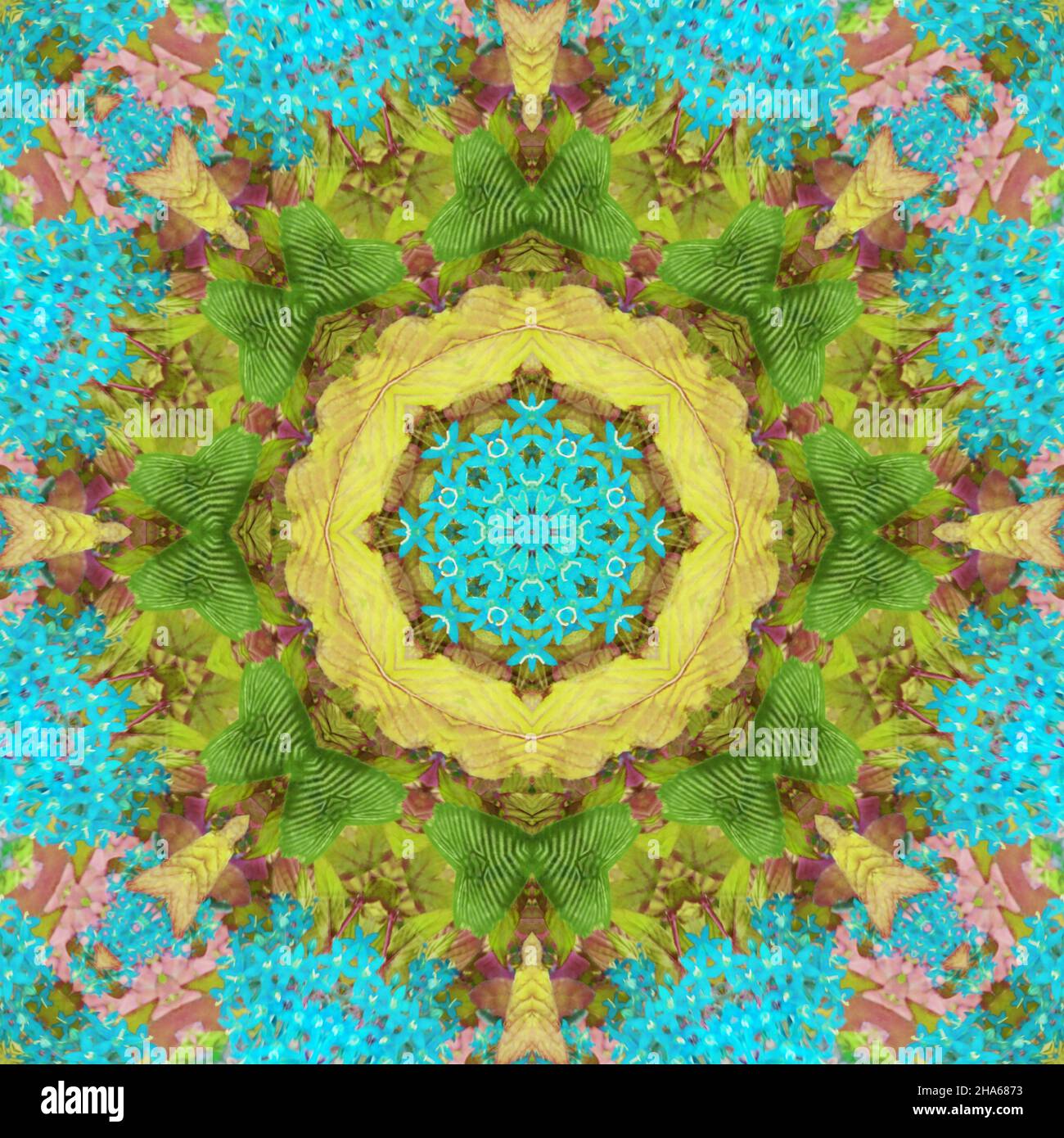 mandala,fleurs,composition Banque D'Images