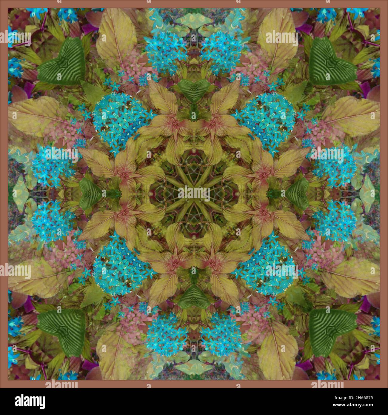 mandala,fleurs,composition Banque D'Images
