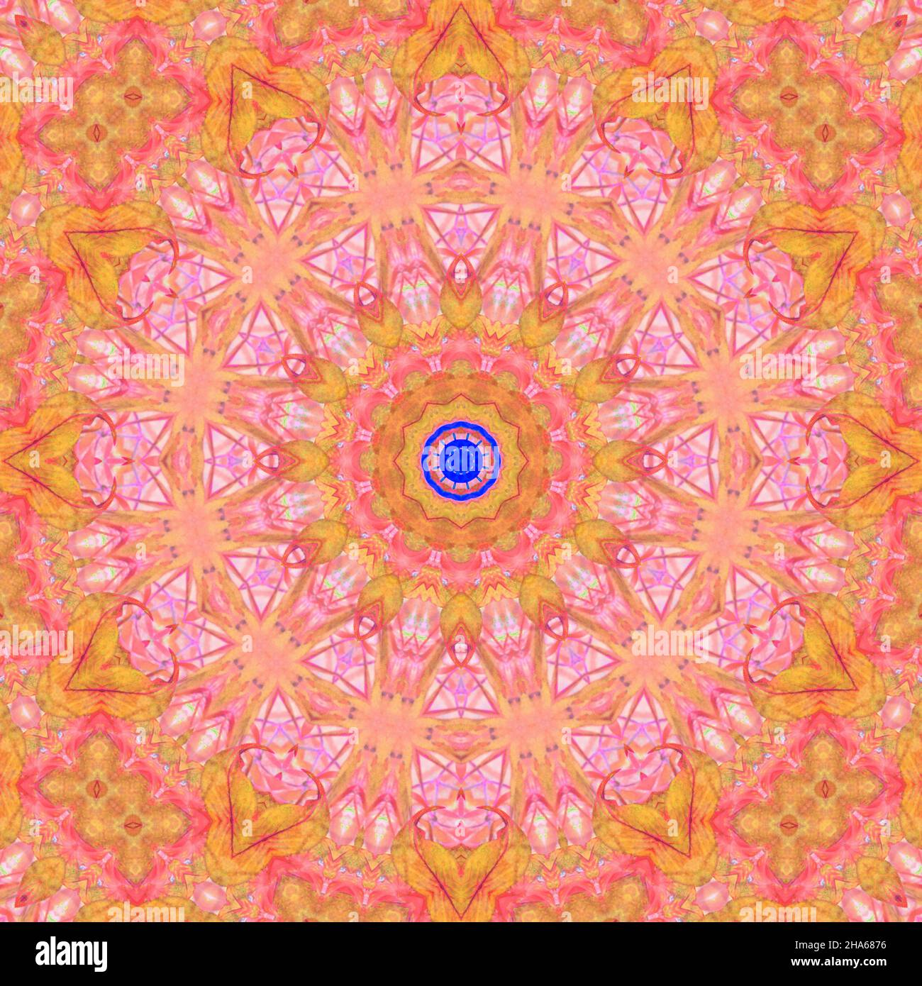mandala,composition de fleurs Banque D'Images