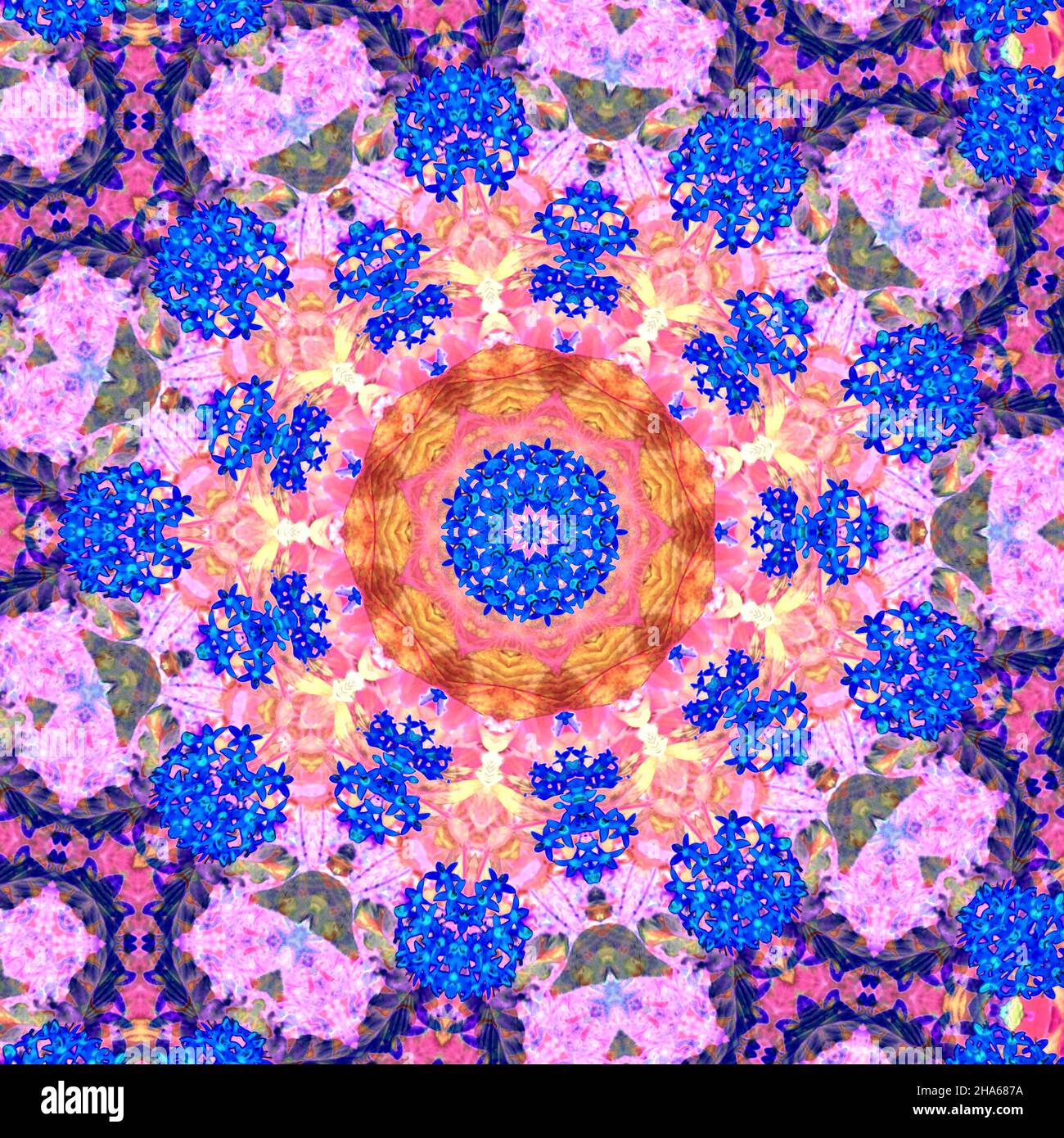 mandala,composition de fleurs Banque D'Images