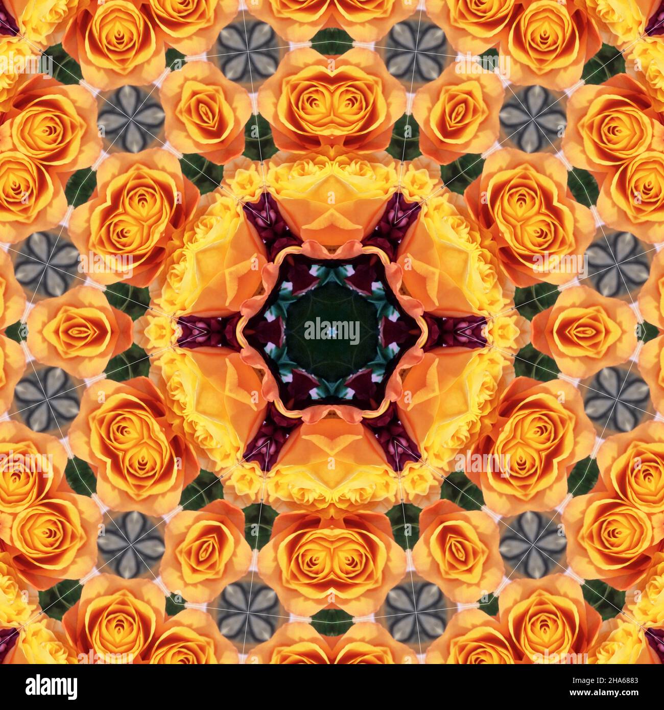 mandala,composition de fleurs Banque D'Images